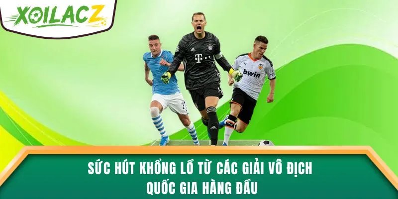 Sức hút khổng lồ từ các giải vô địch quốc gia hàng đầu
