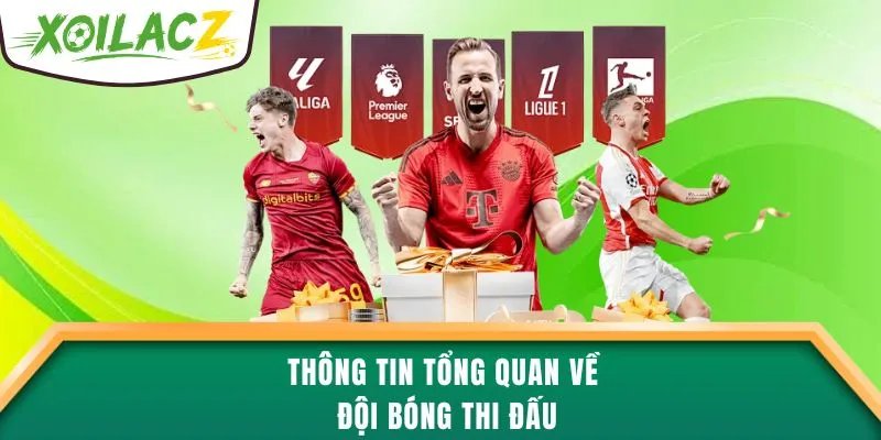 Thông tin tổng quan về đội bóng thi đấu